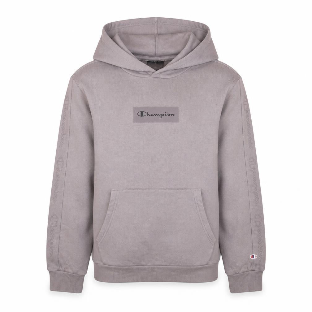 Champion Boys Grey Pullover Hoodie 15-16 Years Logo Fleece Sweatshirt