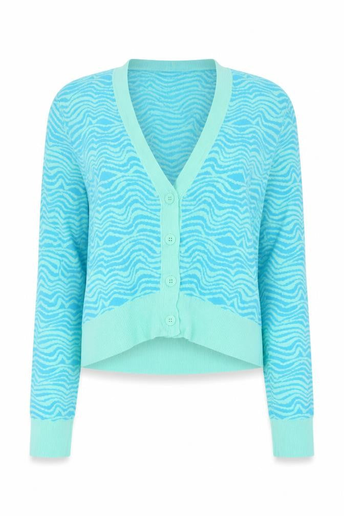 Zara Women’s Blue Animal Print V-Neck Button Cardigan Size S