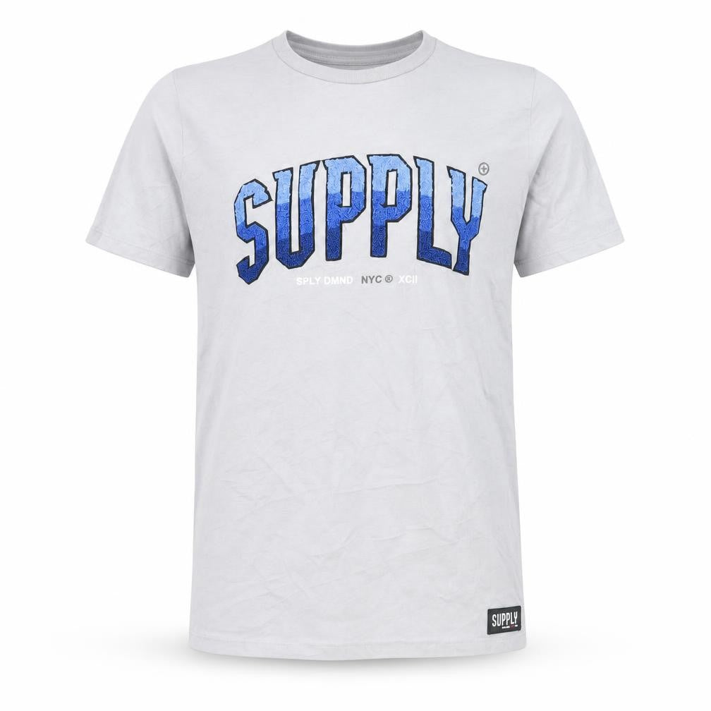 Supply & Demand Boys Grey Embroidered Logo T-Shirt 12-13 Years