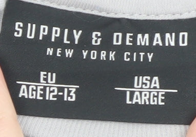 Supply & Demand Boys Grey Embroidered Logo T-Shirt 12-13 Years