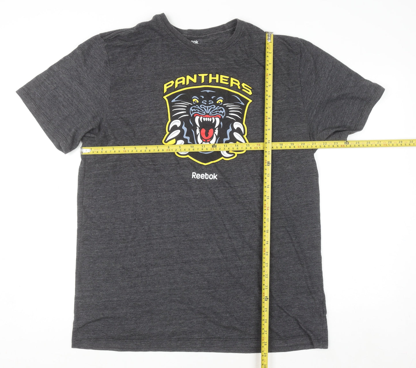 Reebok Men’s Grey 2XL Panthers Graphic Sports T-Shirt