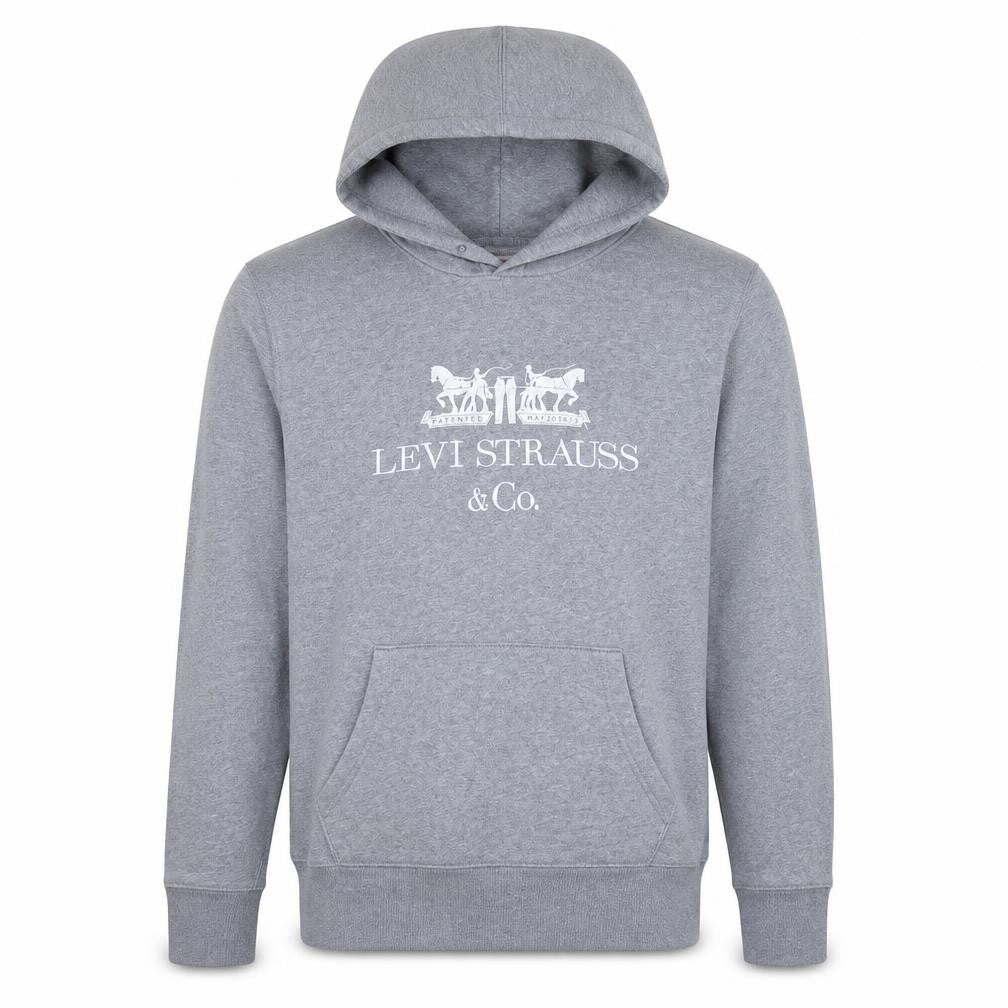Levi's Men's Grey Pullover Hoodie Small Logo Fleece Sweatshirt