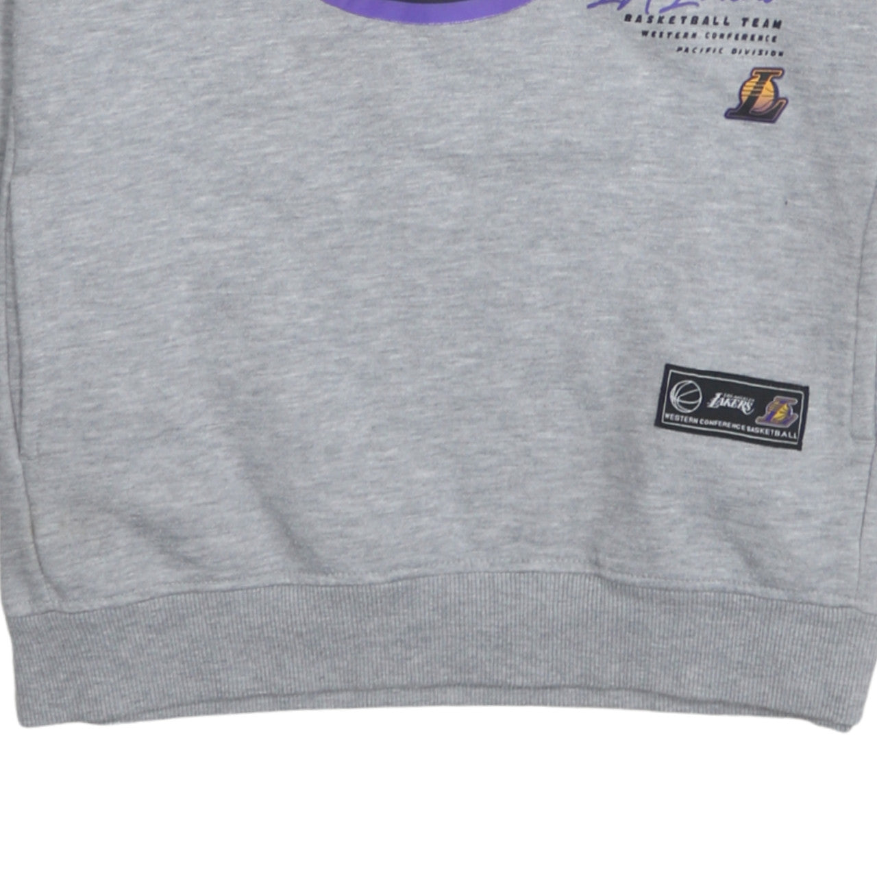 NBA Los Angeles Lakers Boys Grey Pullover Hoodie 11-12 Years Graphic Print