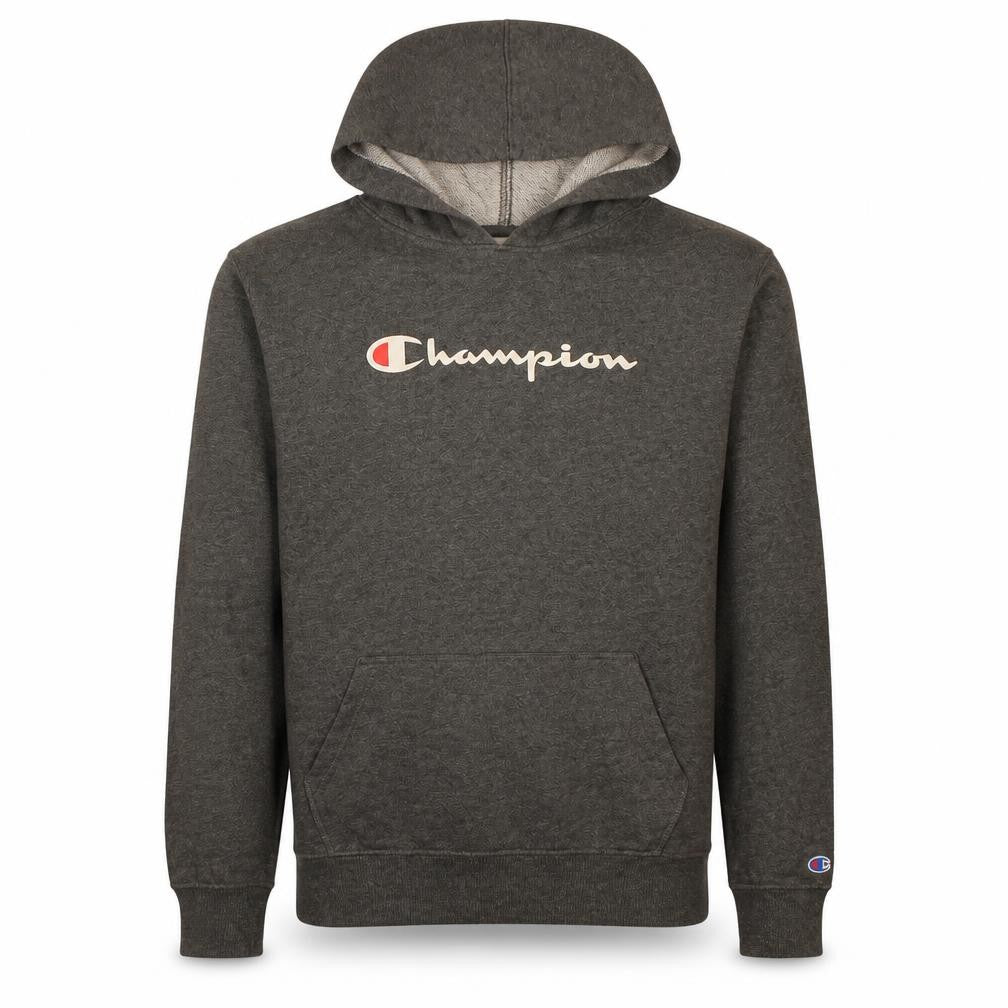 Champion Boys Grey XL Pullover Fleece Hoodie with Logo