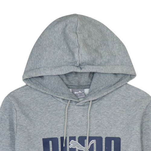 Puma Mens Grey Pullover Hoodie Small Regular Fit Graphic Sportswear