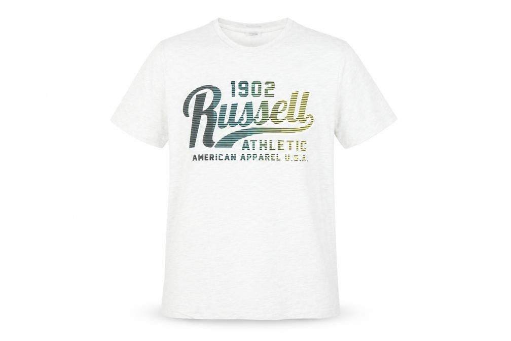 Russell Athletic Boys Grey Graphic Print Sports T-Shirt 14-15 Years