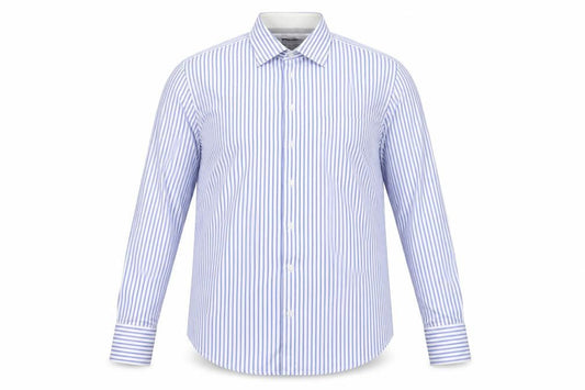Arrow Men's Blue Striped Regular Fit 42cm Cotton Dress Shirt