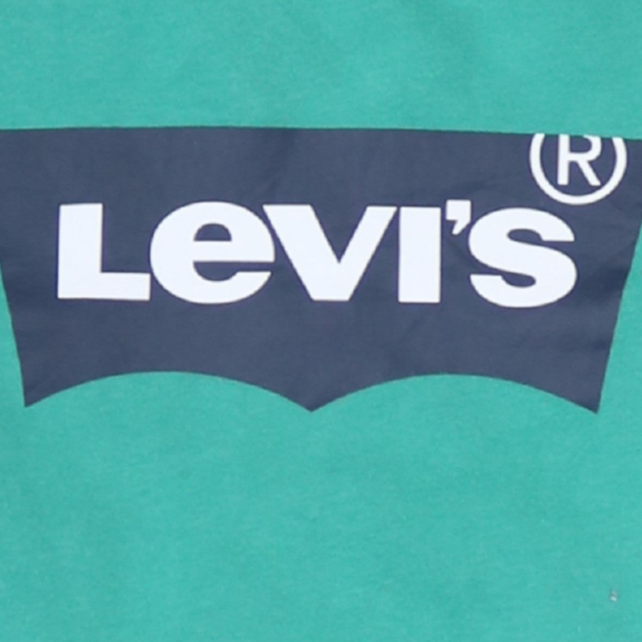 Levi's Boys Green Logo Graphic Crew Neck Sweatshirt 16 Years