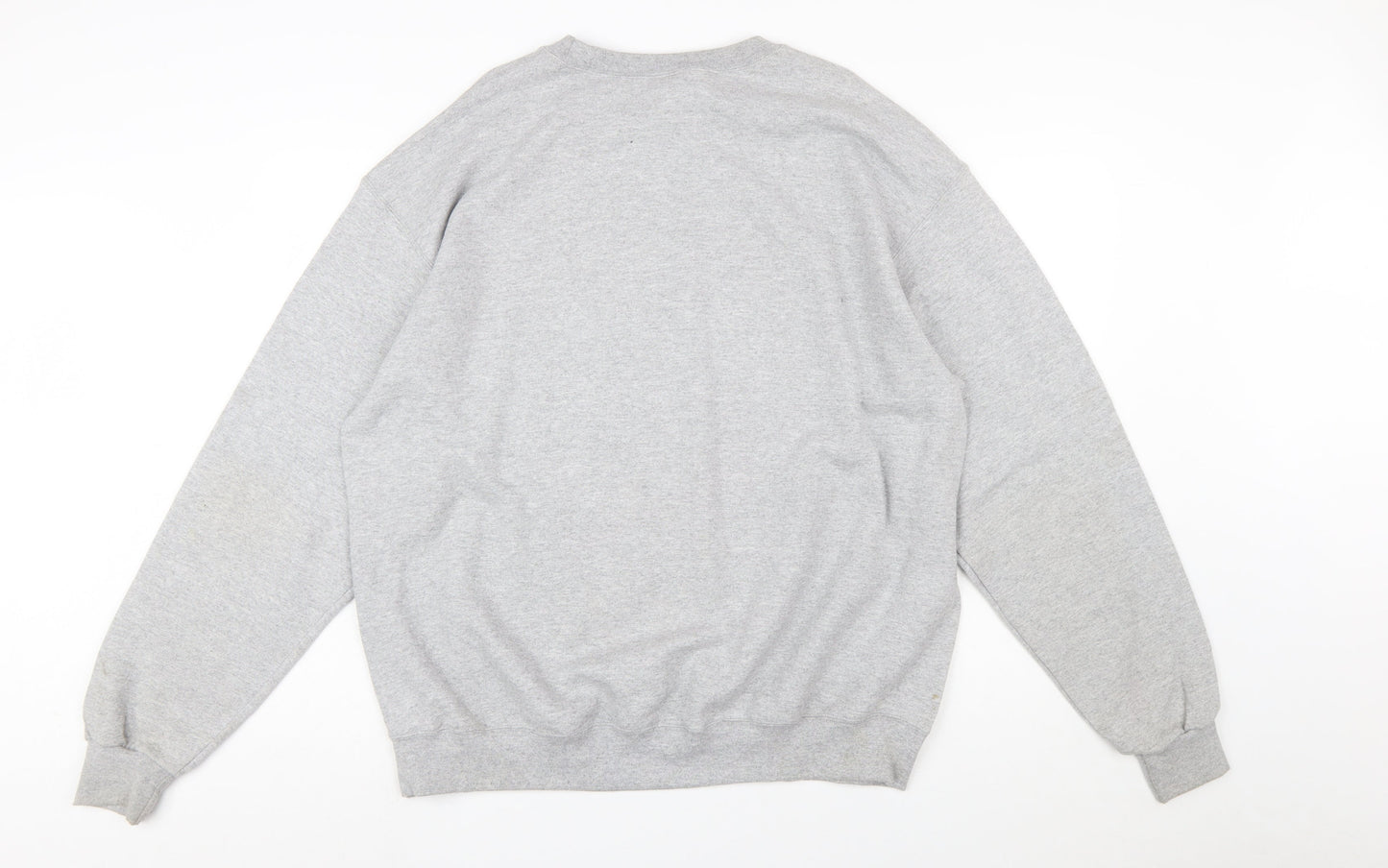 Champion Men's Grey XL Pullover Sweatshirt The Supreme Experience Graphic