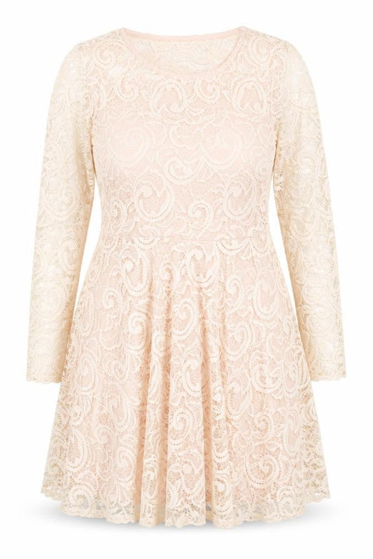 Nikka Women's Beige Lace Fit & Flare Dress Size 16 Party Wedding