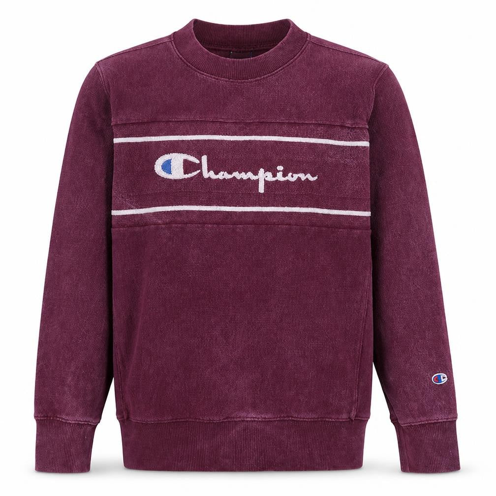 Champion Men's Purple XL Reverse Weave Sweatshirt Vintage Pullover