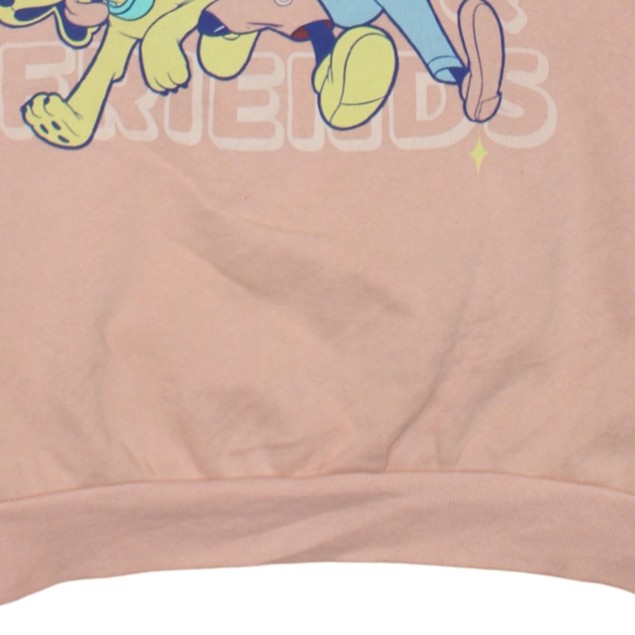 Disney Mickey & Co Women’s Pink Crew Neck Pullover Sweatshirt Size L