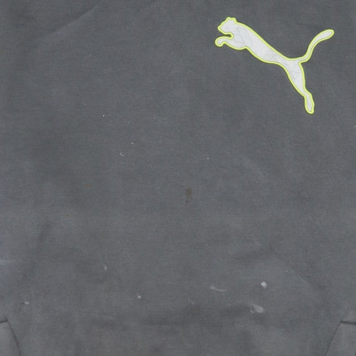 Puma Mens Grey Hooded Pullover Sweatshirt L Logo Sportswear