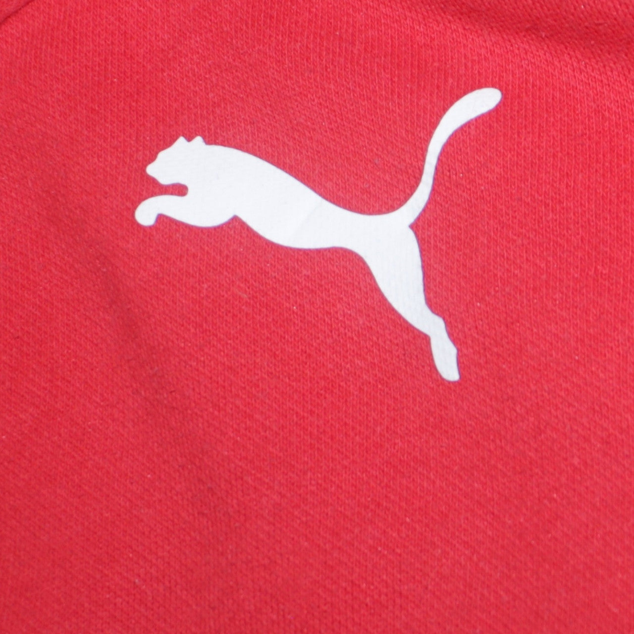 Puma Men's Red Pullover Hoodie L Sports Fleece Sweatshirt