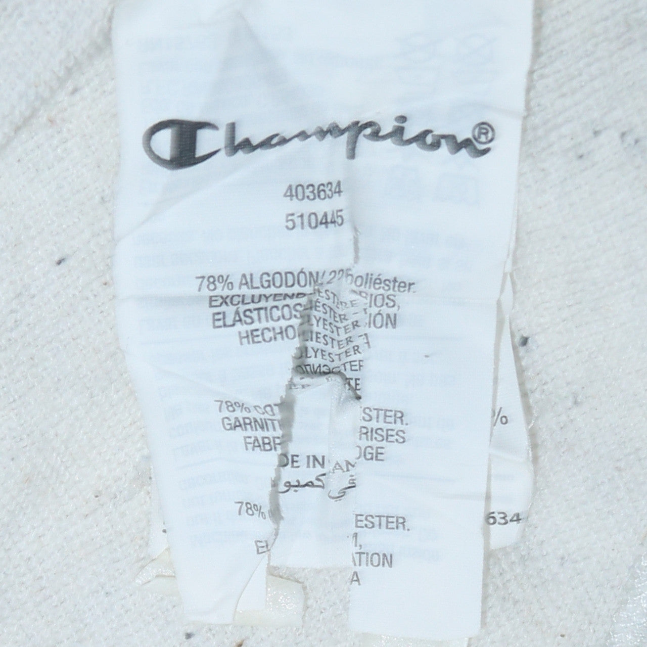 Champion Boys Grey 2XL Pullover Hoodie Rochester New York Graphic