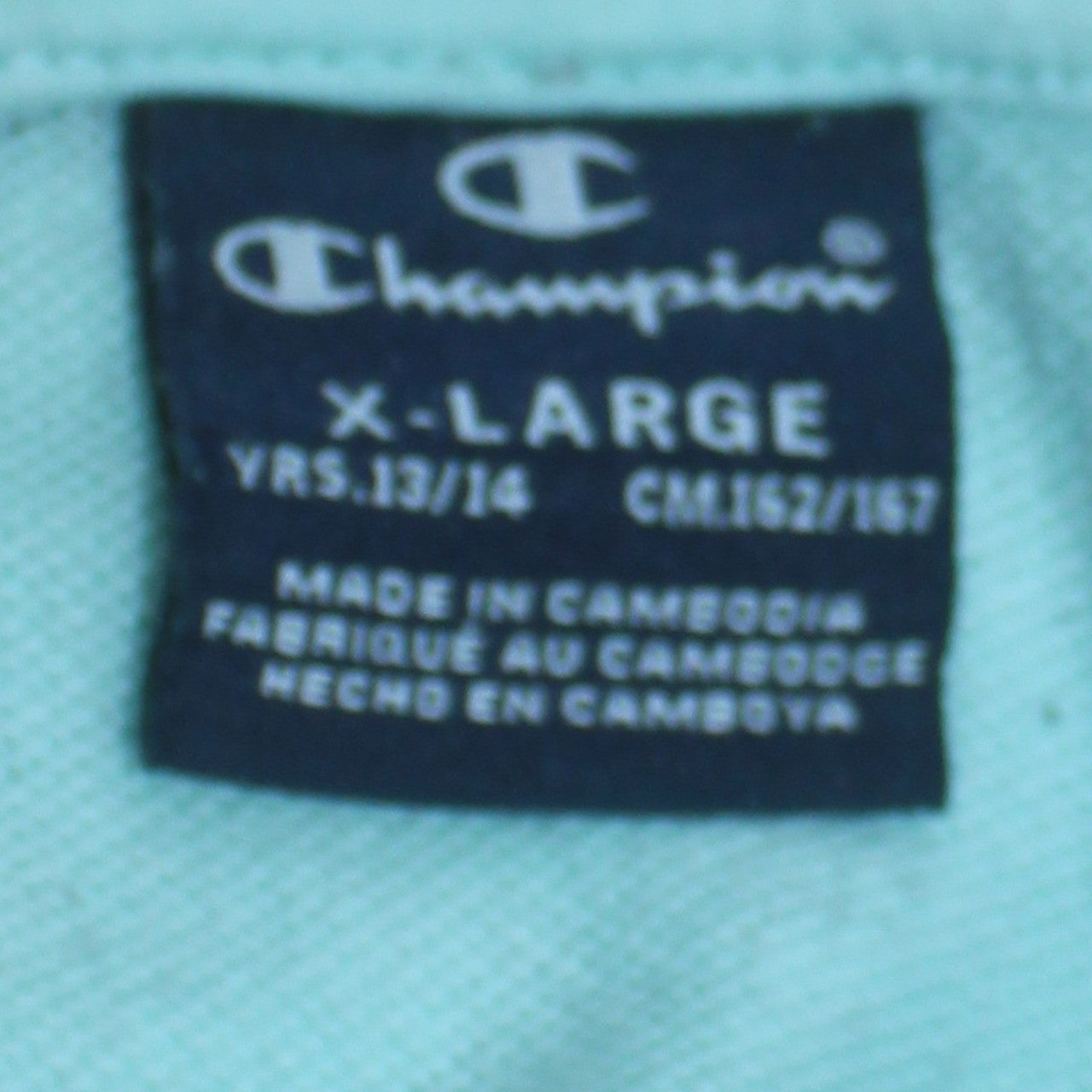 Champion Boys Blue Pullover Hoodie 13-14 Years Logo Print Hooded Sweatshirt