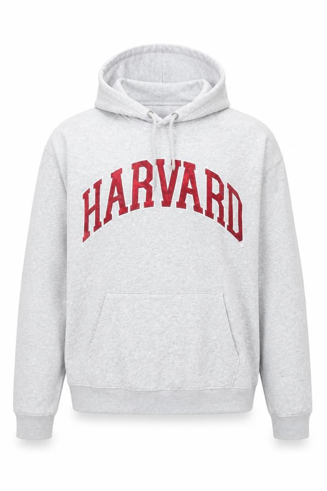 H&M Women Grey Harvard Pullover Hoodie Small Cotton Blend