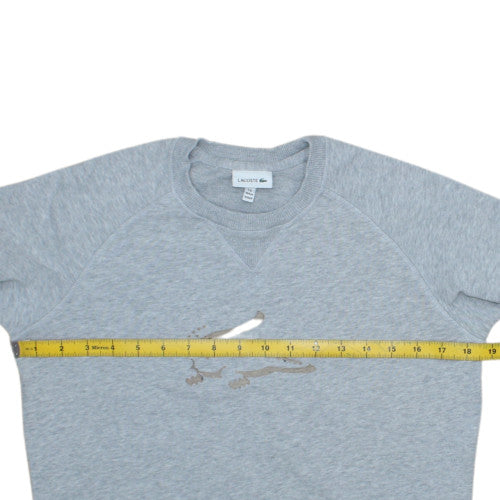 Lacoste Boys Grey Crew Neck Sweatshirt Size 14 Regular Fit Cotton Blend