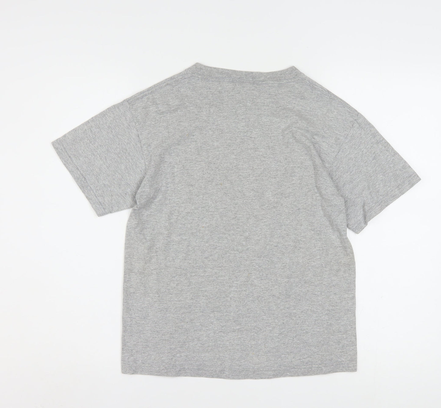 Harley-Davidson Boys Grey Graphic T-Shirt 12-14 Years Motorcycle Logo