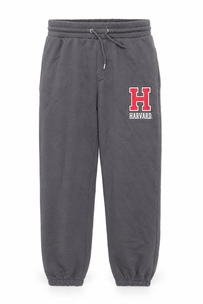 Harvard Men's Grey Jogger Sweatpants Medium Fleece Activewear Trousers