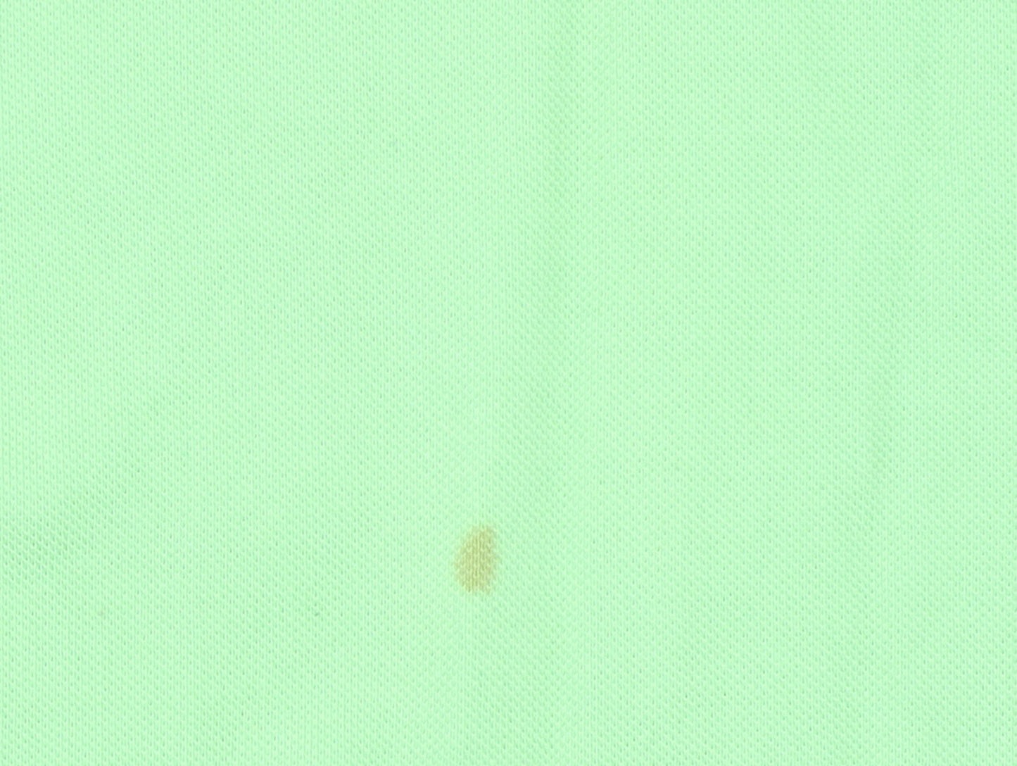 Ralph Lauren Men's Green Short Sleeve Cotton Polo Shirt M
