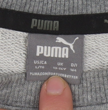 Puma Boys Grey Logo Crew Neck Pullover Sweatshirt 13-14 Years