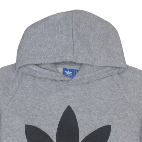 Adidas Mens Grey Hoodie M Pullover Fleece Graphic Logo Sweatshirt
