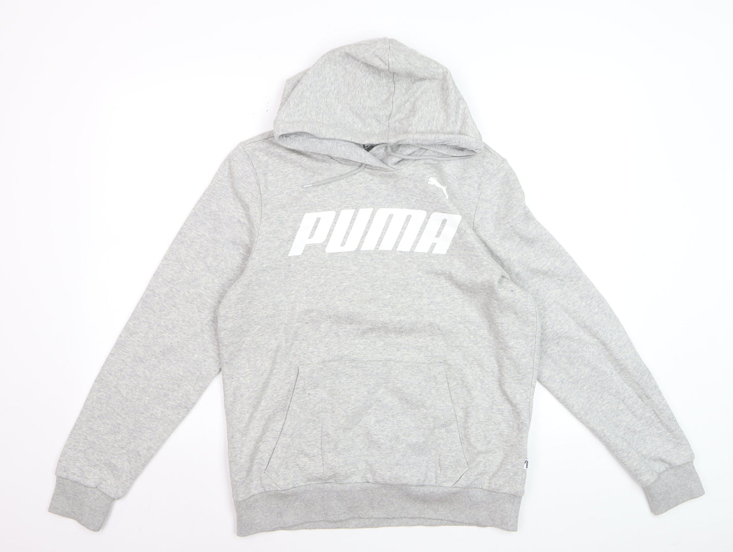 Puma Men Grey Pullover Hoodie L Hooded Sweatshirt Graphic Logo