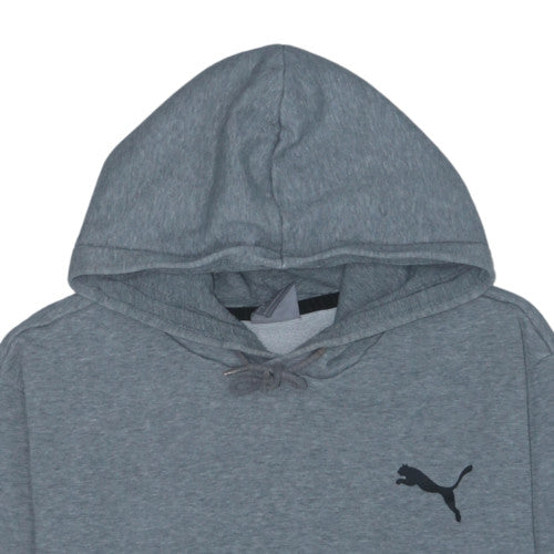 Puma Mens Grey Pullover Hoodie Size L Regular Fit Sportswear