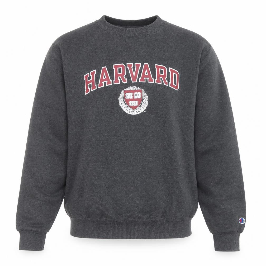Champion Men’s Grey Harvard Pullover Sweatshirt XS Crew Neck