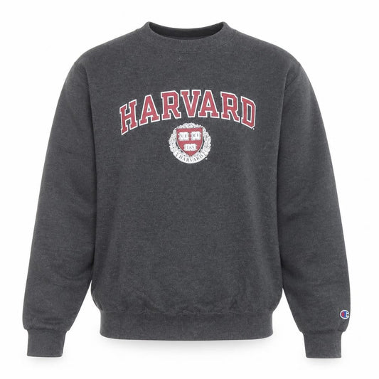 Champion Men’s Grey Harvard Pullover Sweatshirt XS Crew Neck