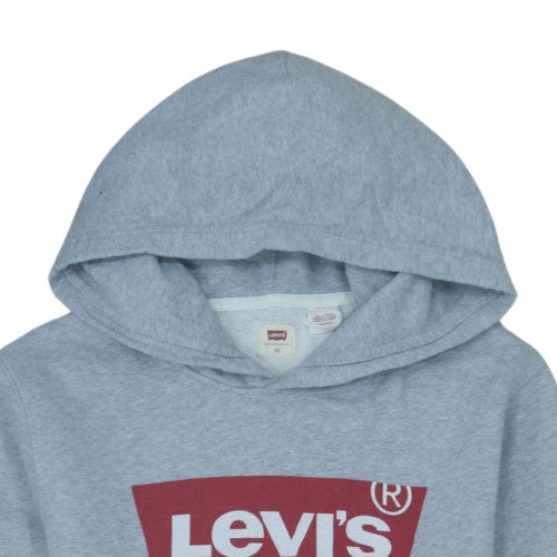 Levi's Men's Grey XS Pullover Hoodie with Logo Front