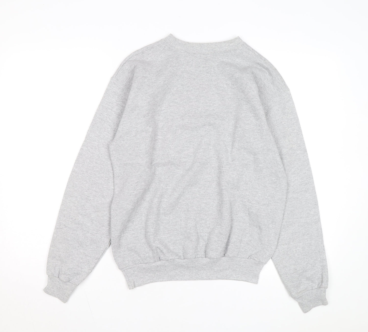 Hanes Disneyland Resort Mens Grey Small Pullover Sweatshirt
