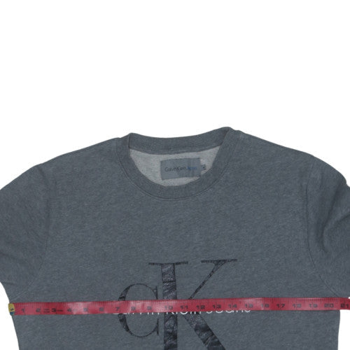 Calvin Klein Jeans Men's Grey Logo Pullover Sweatshirt M