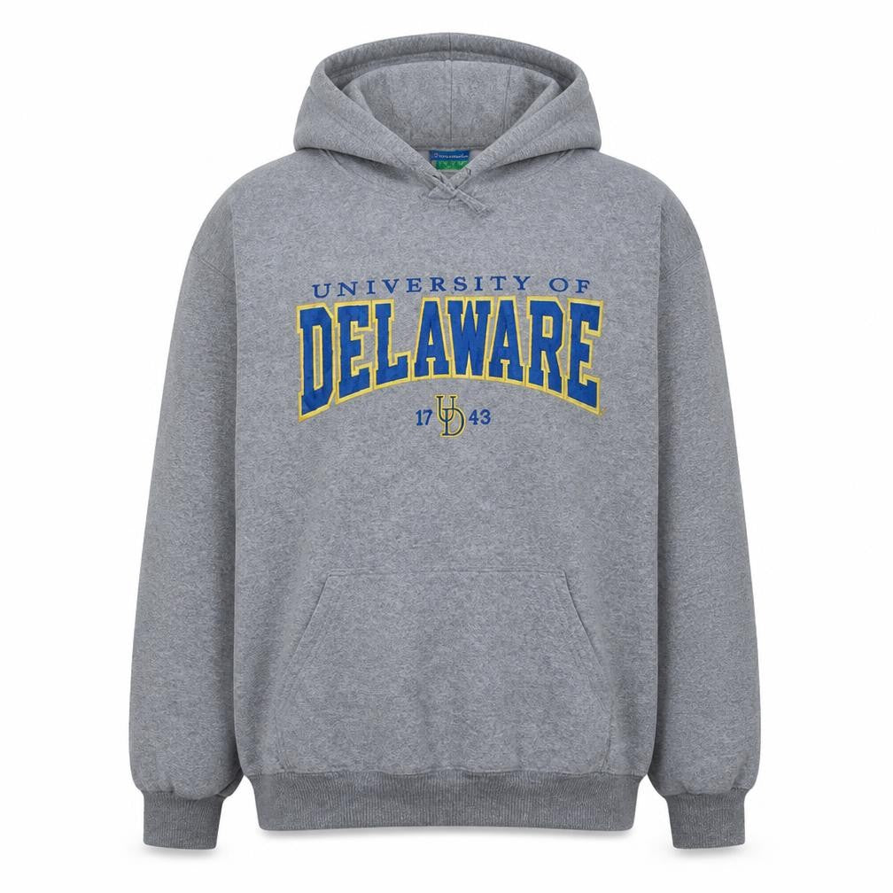 Champion Men's Grey University of Delaware Pullover Hoodie L