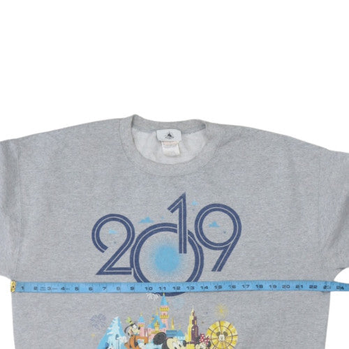 Disney Parks Grey Disneyland 2019 Sweatshirt Women L Pullover Crew Neck