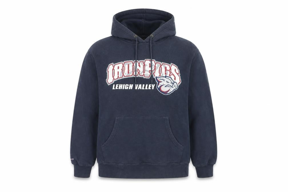 JanSport Men's Blue IronPigs Pullover Hoodie Size M Graphic