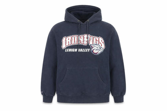 JanSport Men's Blue IronPigs Pullover Hoodie Size M Graphic