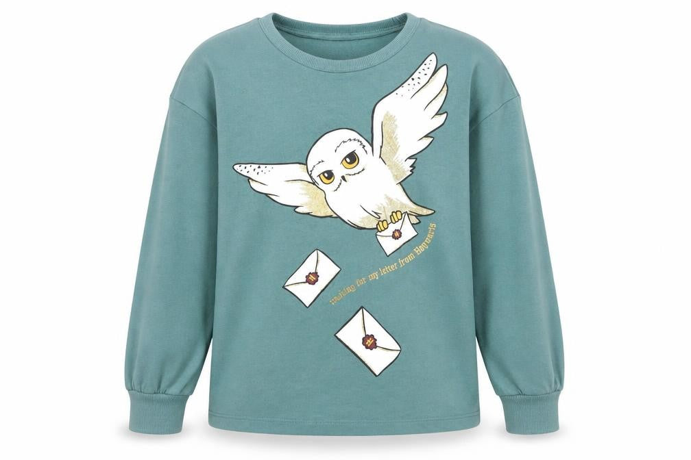 H&M Boys Green Harry Potter Owl Graphic Long Sleeve Sweatshirt 10 Years