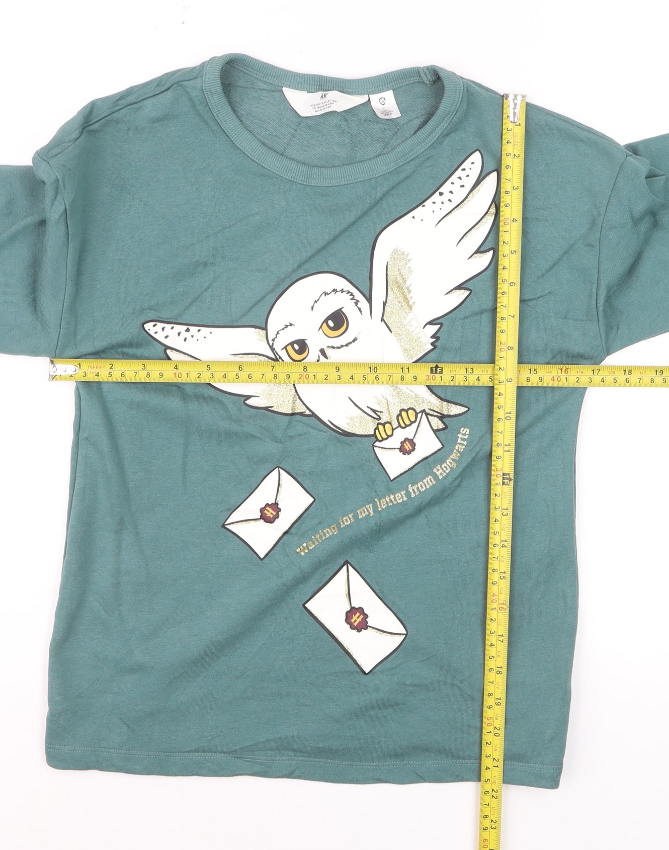 H&M Boys Green Harry Potter Owl Graphic Long Sleeve Sweatshirt 10 Years