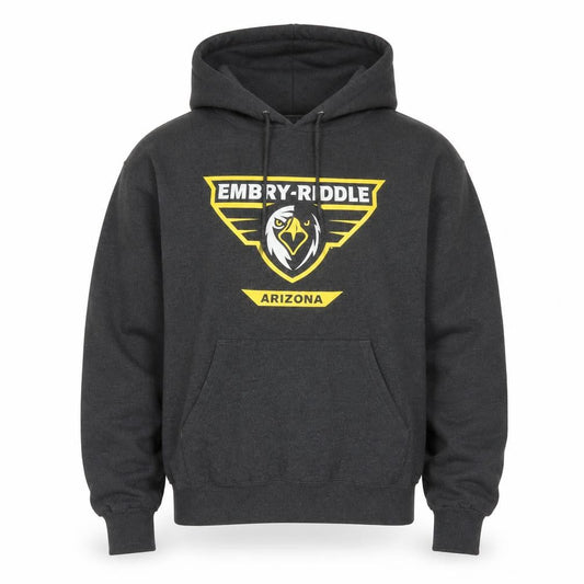 Champion Men's Grey Pullover Hoodie Embry-Riddle Arizona Small