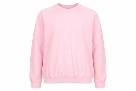 Jack Wills Women Pink Crew Neck Pullover Sweatshirt UK 10