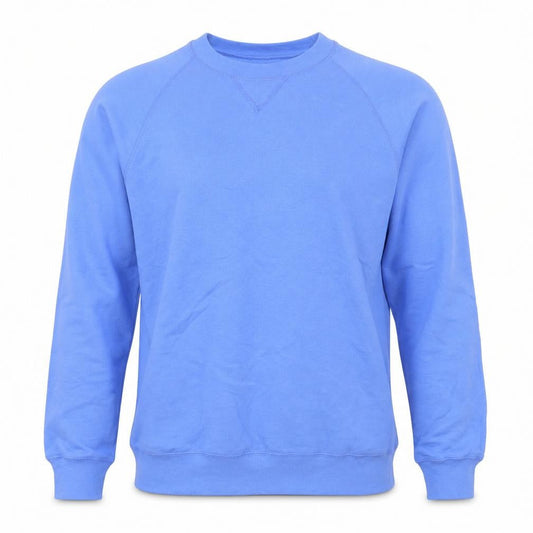 Hanes Men's Blue Pullover Crew Neck Sweatshirt Size S