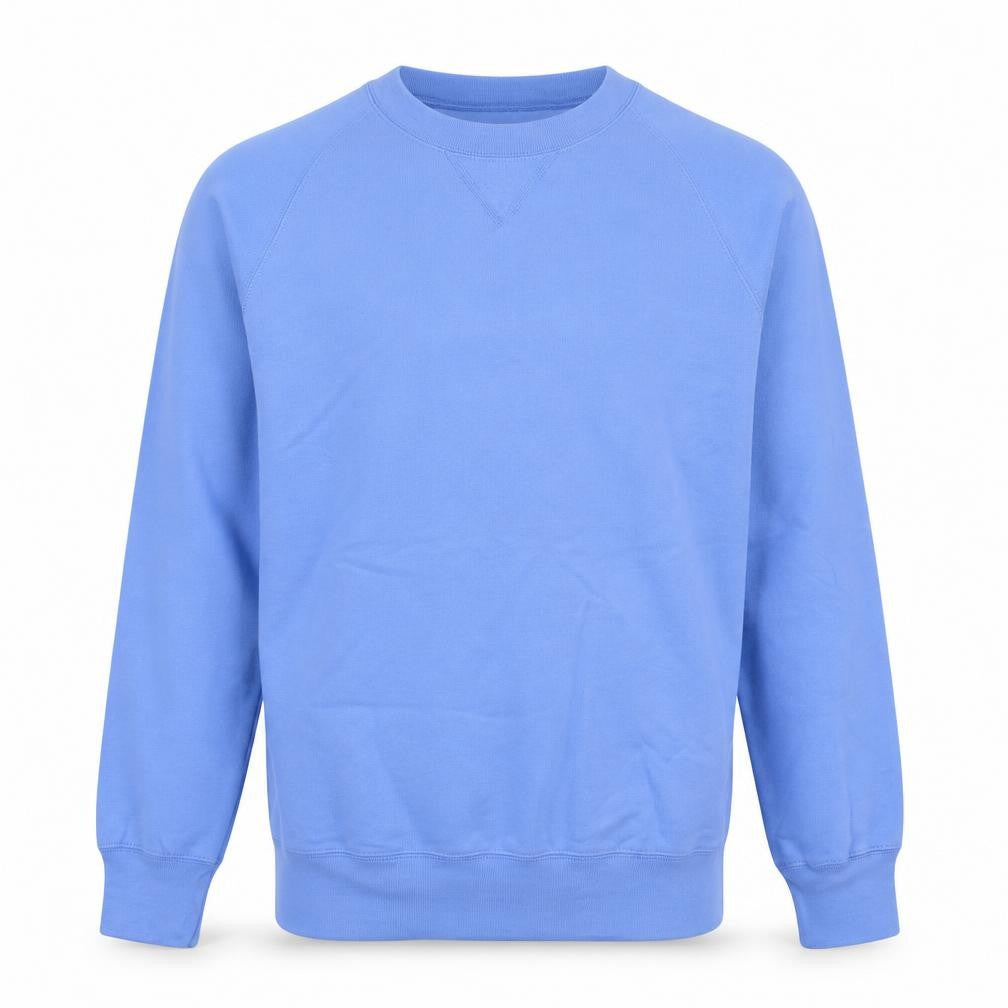 Hanes Men's Blue Small Pullover Crew Neck Sweatshirt