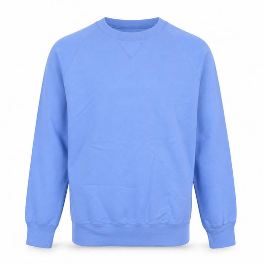 Hanes Men's Blue Small Pullover Crew Neck Sweatshirt
