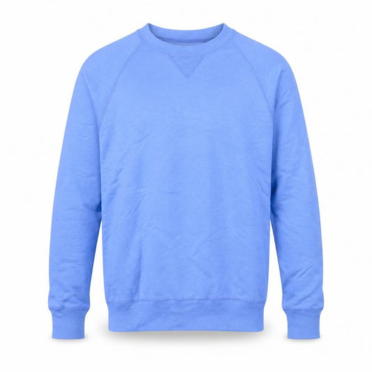 Hanes Men's Blue Crew Neck Pullover Sweatshirt Size S