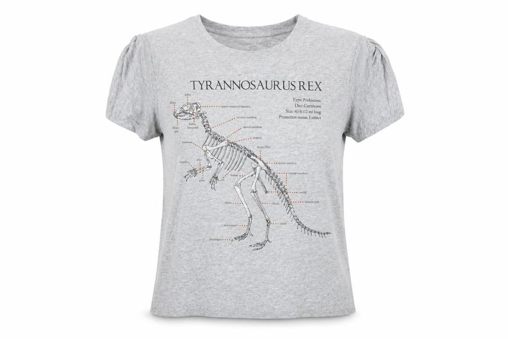 Topshop Women’s Grey Dinosaur Print Short Sleeve T-Shirt Size L