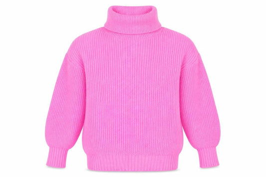Front view of Dorothy Perkins Women Pink Roll Neck Chunky Knit Jumper, size S