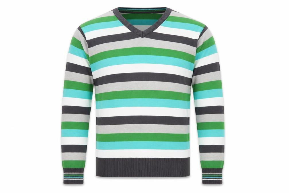 Petroleum Men's Multicoloured L V-Neck Cotton Striped Jumper