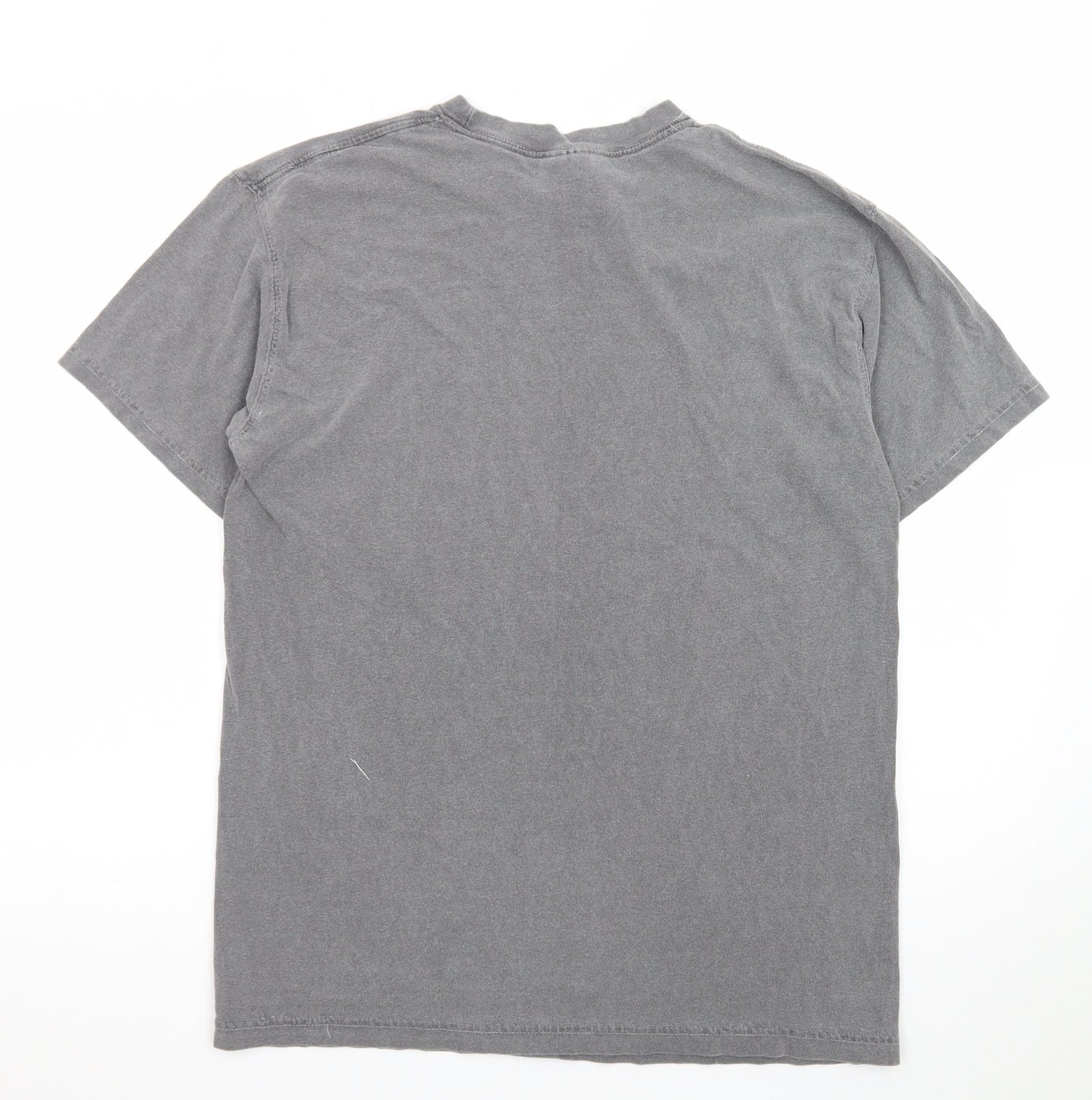 Comfort Colors Men’s Grey Harry Potter Quote T-Shirt Size M